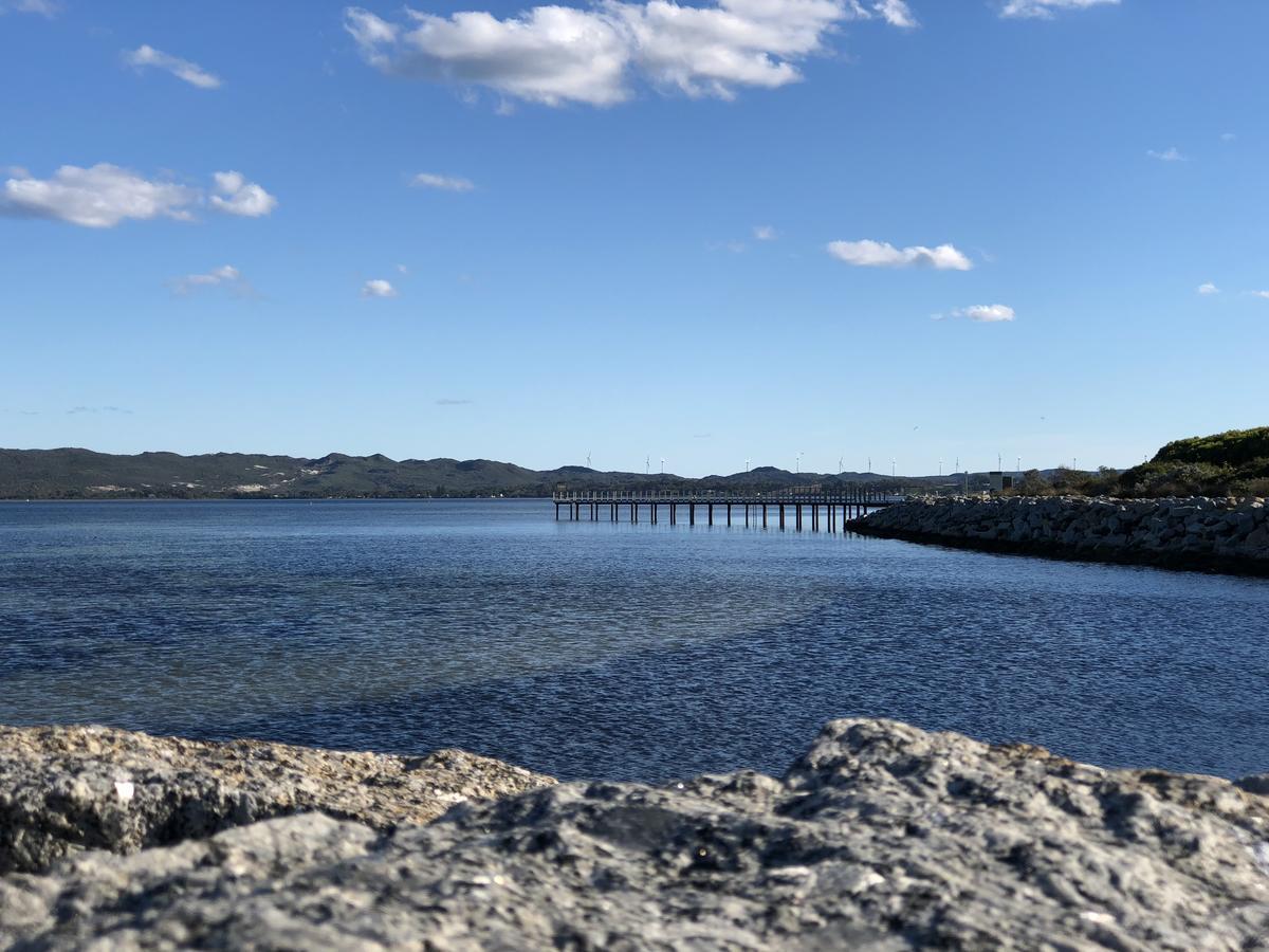 Albany Foreshore Guest House מראה חיצוני תמונה