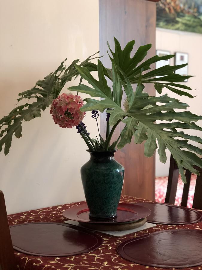 Albany Foreshore Guest House מראה חיצוני תמונה